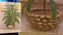 Comment faire beau pot de ciment à la maison très facile