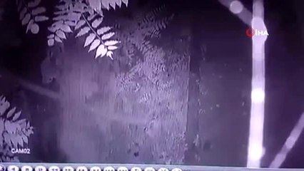 Beşiktaş'ta genç kıza taciz iddiası