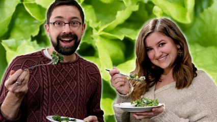 Taste Test:  Trader Joe's Salads