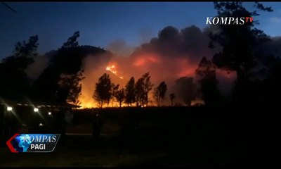 Kebakaran Hutan Gunung Ranti, 4 Pendaki Dikabarkan Terjebak