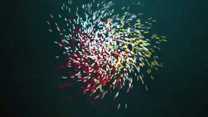 Sadha Shrimati 21F Movie Official Trailer __ Sadha __ Riythvika __ 2019 Telugu T