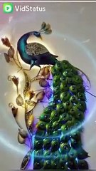 watsapp status video malayalam