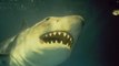 Jaws 3-D movie (1983) Dennis Quaid, Bess Armstrong, Simon MacCorkindale