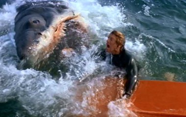 Download Video: Jaws Movie (1975) Roy Scheider, Robert Shaw, Richard Dreyfuss