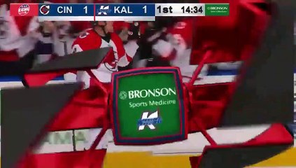 ECHL Cincinnati Cyclones 3 at Kalamazoo Wings 4