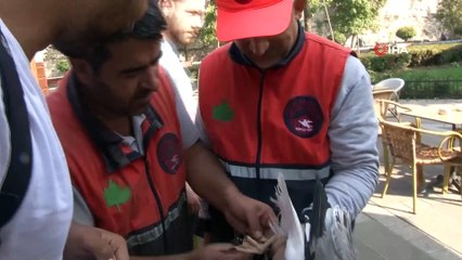 Ayakları ve gagası bağlanan martıyı belediye işçileri kurtardı