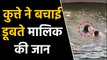 Viral Video में देखिए कैसे कुत्ते ने बचाई पानी में डूब रहे मालिक की जान । वनइंडिया हिंदी