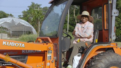 Motown to Growtown: Detroit's Urban Farming Revolution | REWIND