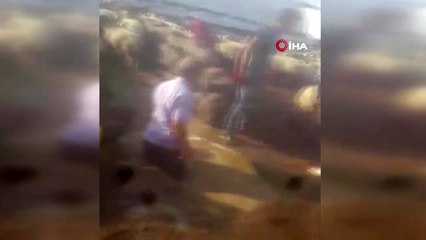 Yılan kurtarma operasyonu anlatımı ile fenomen olan genç bu kez koyunların kış banyosunu anlattı