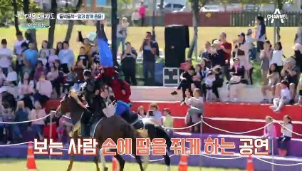 말이 춤을 춘다?! 진짜 *말춤*을 볼 수 있는 '제주마 축제'