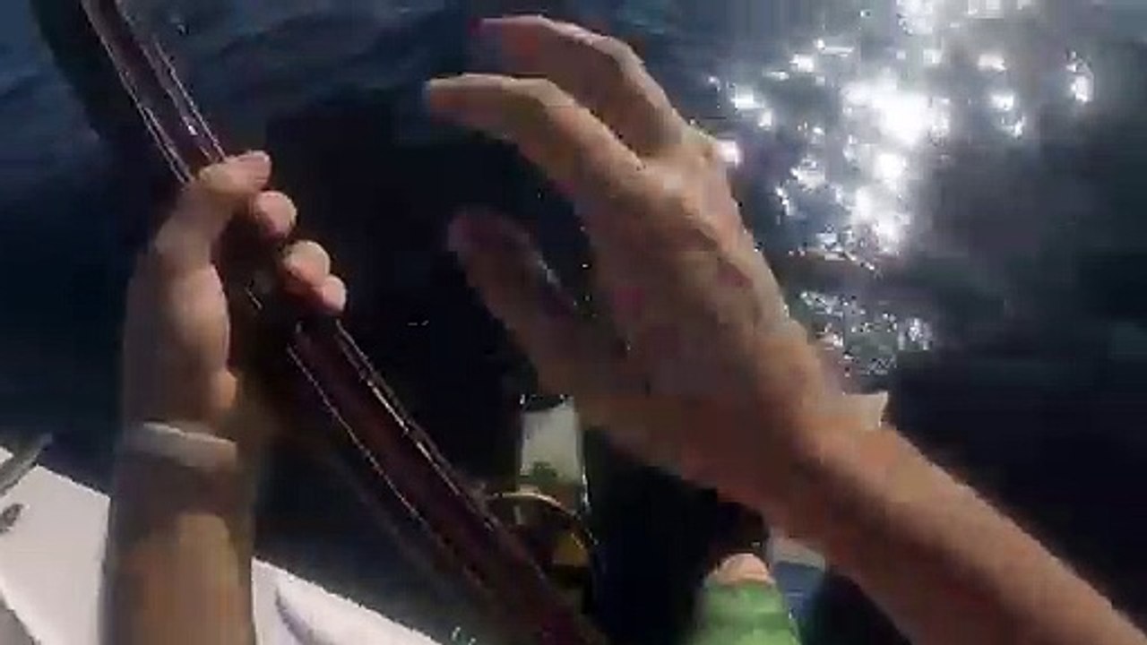 Il tombe sur un requin en plongeant pour de la pêche sous-marine !