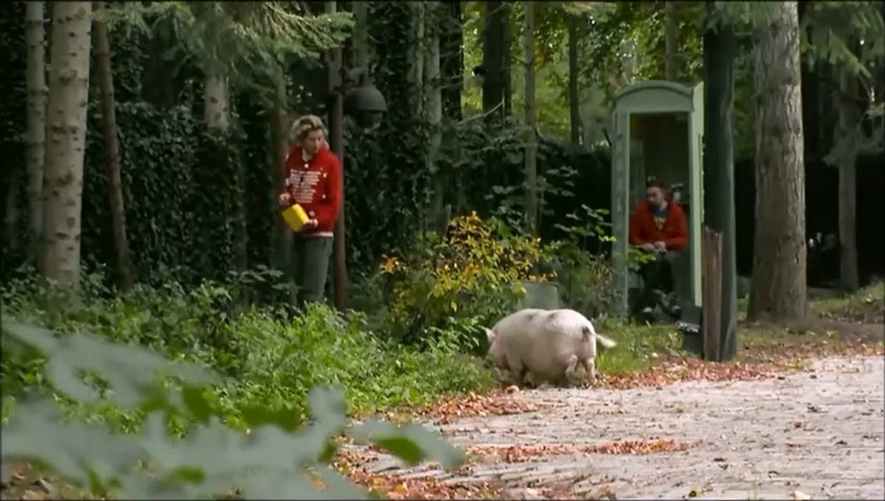 Katie wil het eten van de eenden - 20 oktober 2019.