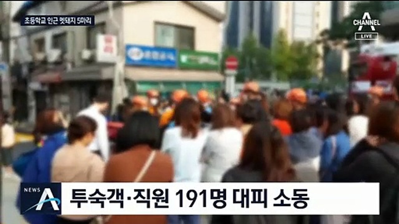 10m 높이서 멈춘 놀이기구…거꾸로 매달린 공포의 5분