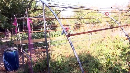 Geri Dönüşüm Malzemeleri Doğal Üretim Alanı Oldu