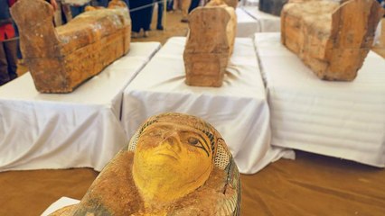 L'Indiana Jones egiziano ne ha combinata un'altra delle sue