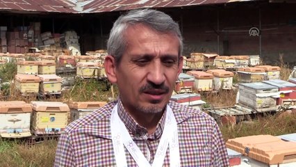 Ürettiği ballarla hem dünya birincisi hem üçüncüsü oldu - AMASYA