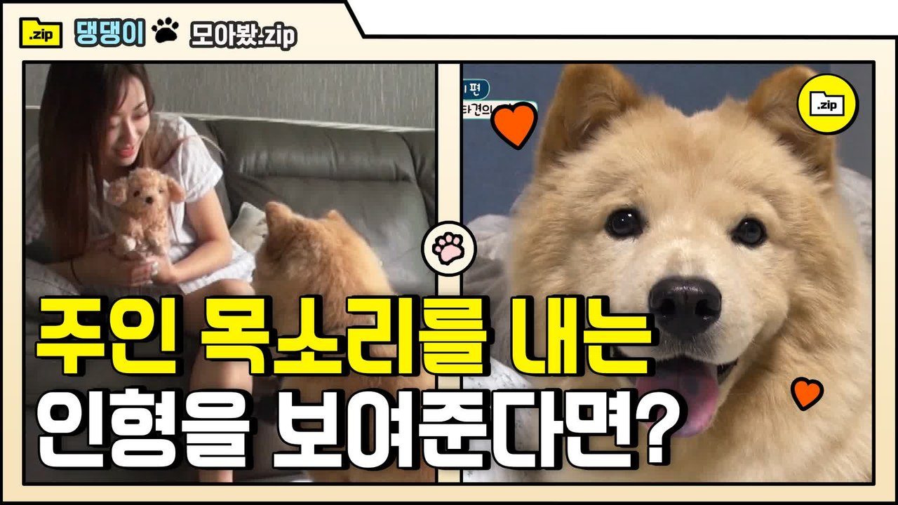 [#모아봤zip] 주인 목소리가 왜 여기서 나와? 인형에서 경리 목소리가 난다? | #대화가필요한개냥 | #Diggle