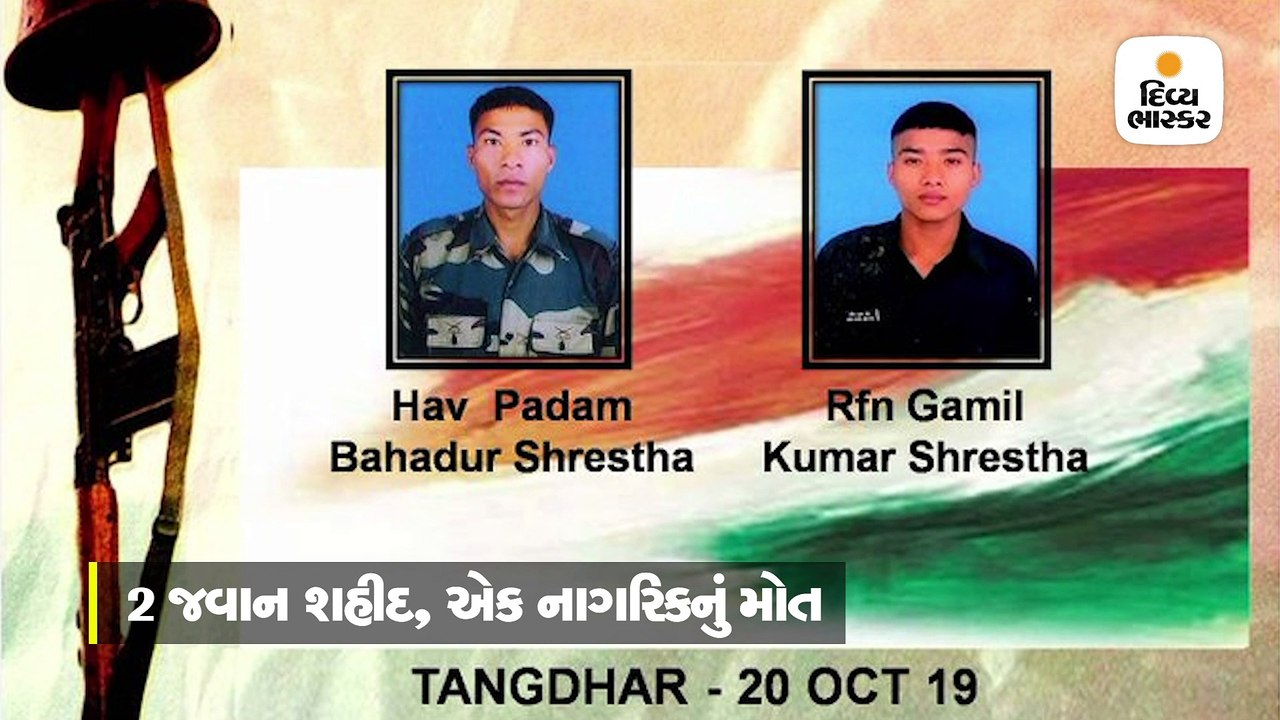 આર્મી ચીફે કહ્યું- 6 થી 10 પાક. સૈનિકો ઠાર કરીન...