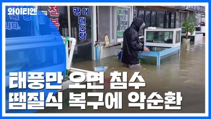 태풍만 오면 침수...땜질 복구에 악순환 / YTN
