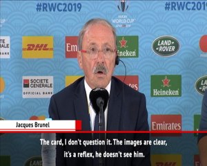 France's red card against Wales 'clear' - Brunel