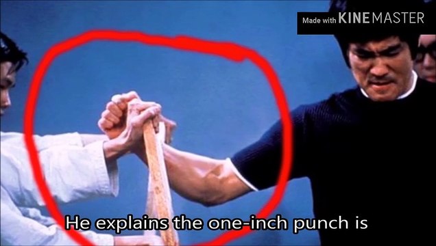 Bruce lee one inch punch
