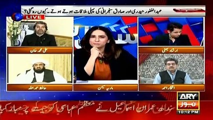 Ali Muhammad Khan replies over govt's plan about Azadi March