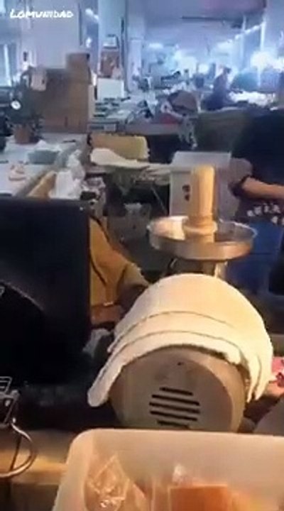 Un chien danse sur « Jump Around » dans un carton