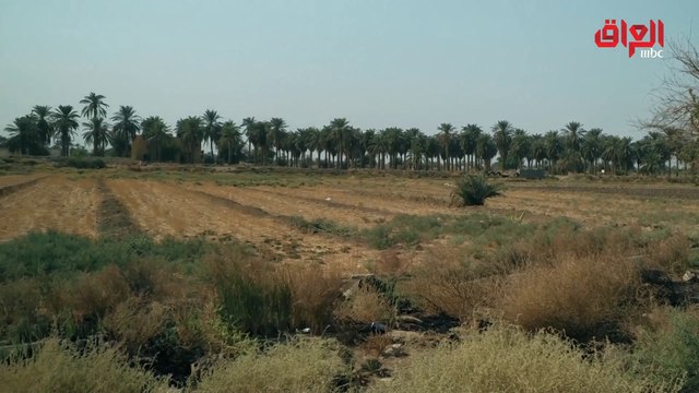 خاص لـ “حديث بغداد تقرير يرصد أسباب هجرة أبناء القرى للمدينة وانهيار الاقتصاد الزراعي