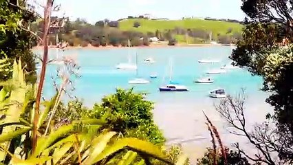 Así es “Waiheke“ la primera isla exclusiva para vehículos eléctricos