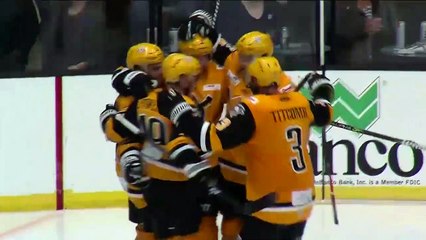 Indy Fuel (3) at Wheeling Nailers (4) 3rd pd