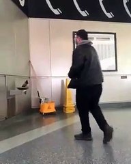 Esta paloma sedienta espera ayuda humana para activar un bebedero en Nueva York