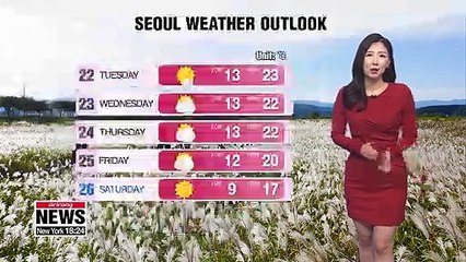 Dusty in capital area, Chungcheongnam-do Prov.