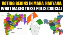 Haryana, Maharashtra vote for new govt, litmus test for PM Modi  | OneIndia News