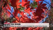 Higher tick activity in autumn increases risk of tick-borne diseases