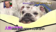 45★천국으로 떠난 제임스