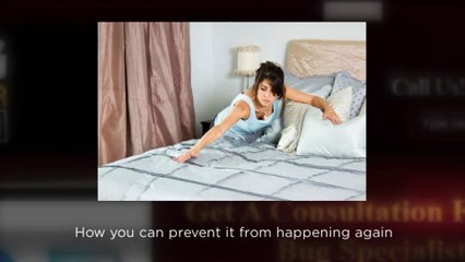 Bed Bug Exterminator Pittsburgh