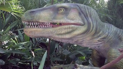 Free Stock Footage Attacking Dinosaur 2