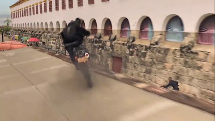 Will Smith fâ do cantor angolano Bonga (Projeto Gemini)