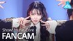 [예능연구소 직캠] CHUNGHA - Gotta Go (Vertical ver.), 청하 - 벌써 12시 @Show Music Core 20190105