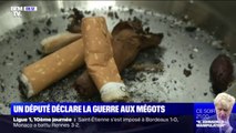 Un député veut faire interdire les cigarettes aux filtres non compostables
