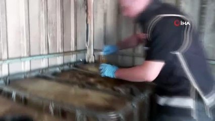 İstanbul'da 4 ilçede '10 numara' yağ operasyonu: 4 gözaltı