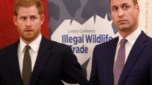 Harry und William: Die Brüder sind "auf unterschiedlichen Wegen"