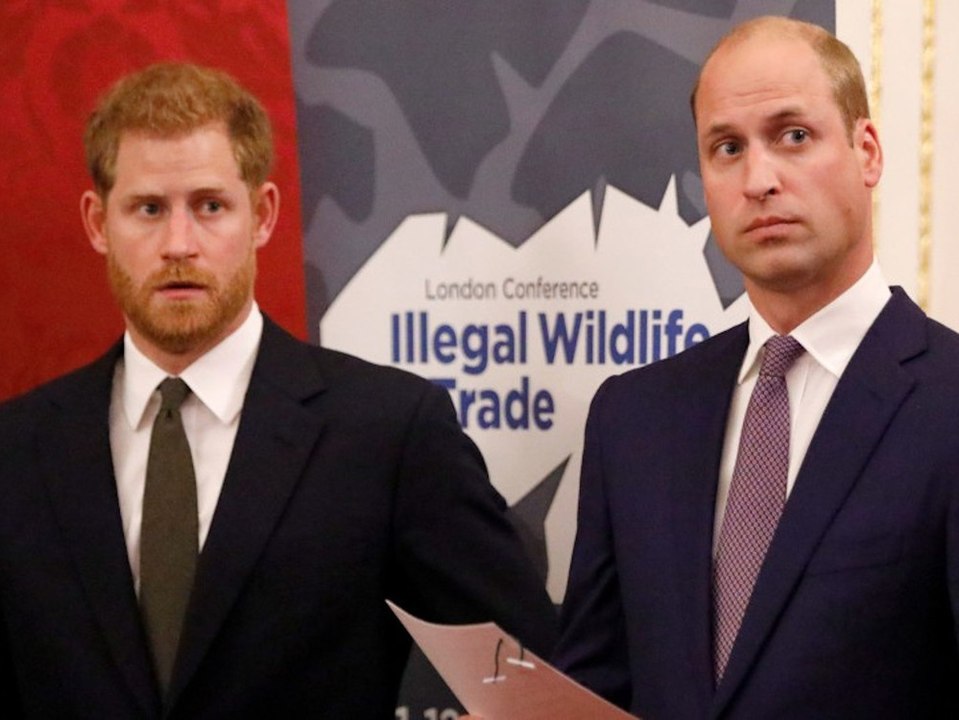 Harry und William: Die Brüder sind 'auf unterschiedlichen Wegen'