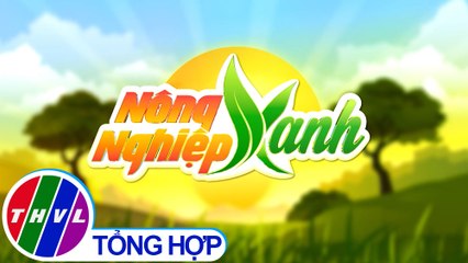 THVL | Nông nghiệp xanh - Kỳ 10: Tái tạo hệ sinh vật đất sau ngập lũ