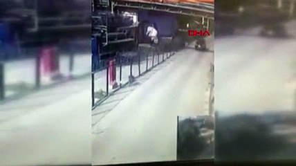 Cipiyle, yol kenarında mama yiyen köpeğe böyle çarptı