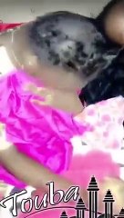 Magal de Touba : Un femme rasée par les "Baye Fall"