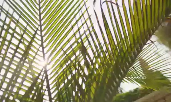 بادية بالم هيلز بمدينة 6 أكتوبر – Badya Palm Hills 6th