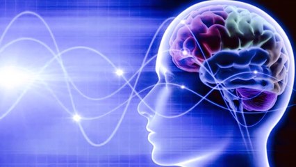 The benefits of meditation on the human brain فوائد التأمل على المخ البشري_