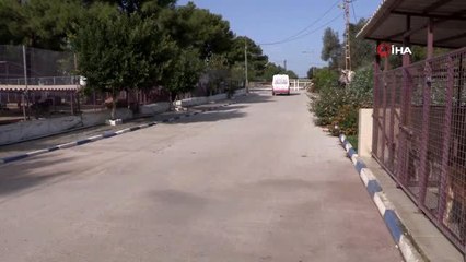 Zehirlenen köpeğin imdadına Petbulance yetişti