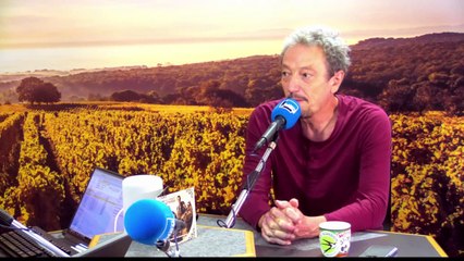 Le 9e CD de Pierre Schott : #9 remixes et miscellanées